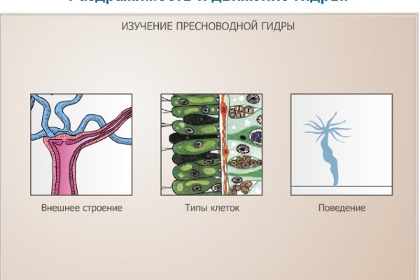 Кракен даркнет поддержка