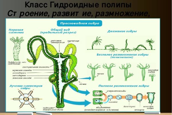 Как восстановить кракен