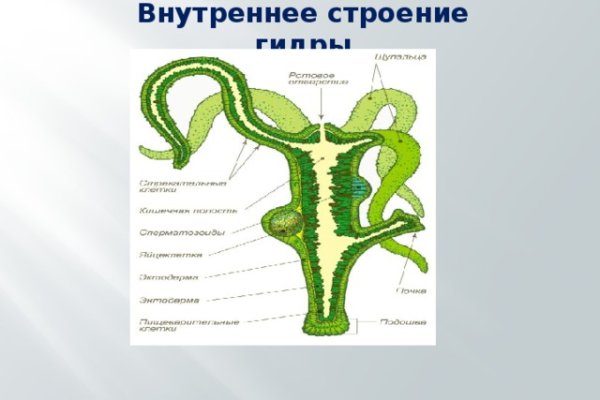 Кракен рабочая ссылка тор